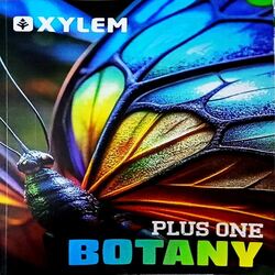 XYLEM Plus One BOTANY